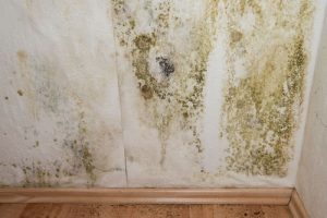 3 OF THE MOST HAZARDOUS LEAKS IN YOUR HOME