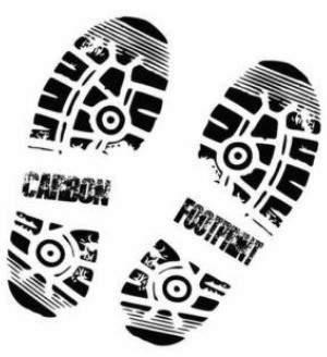 PRO TIPS FOR GOING GREEN