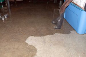 How can I tell if my Greenwood home has a slab leak?