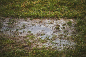 Signs Your Home May Have an Underground Water Leak